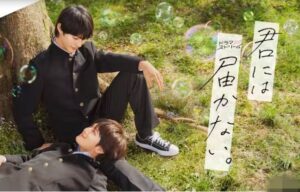 君には届かないネタバレ最終回原作漫画キャスト紹介